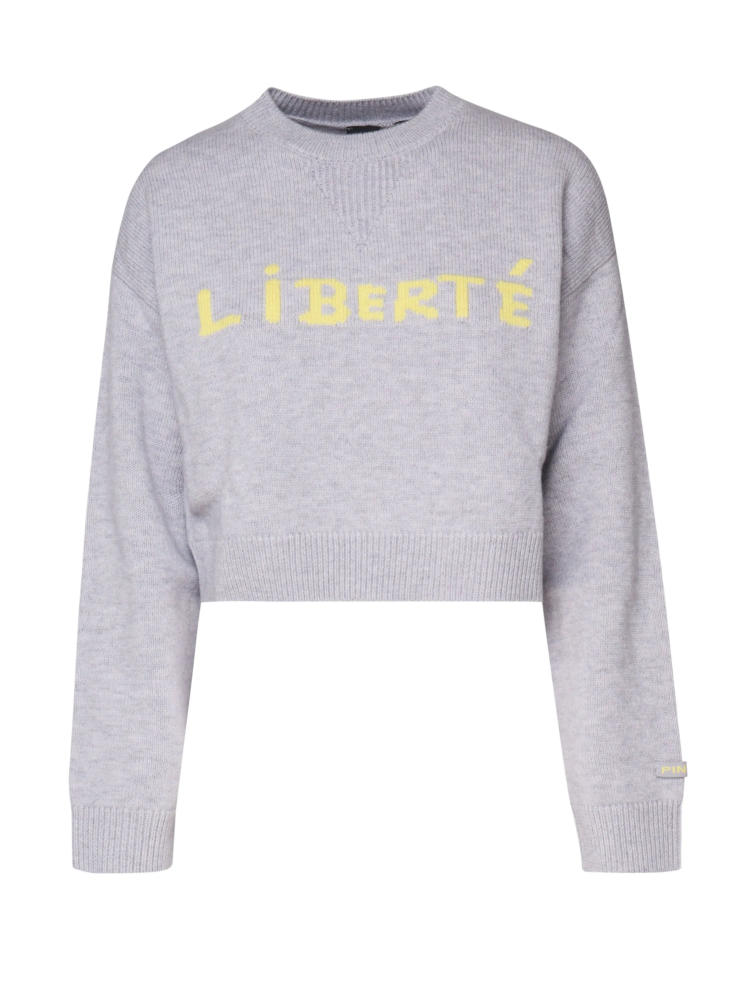 Short Grey Sweatshirt with Statement Writing