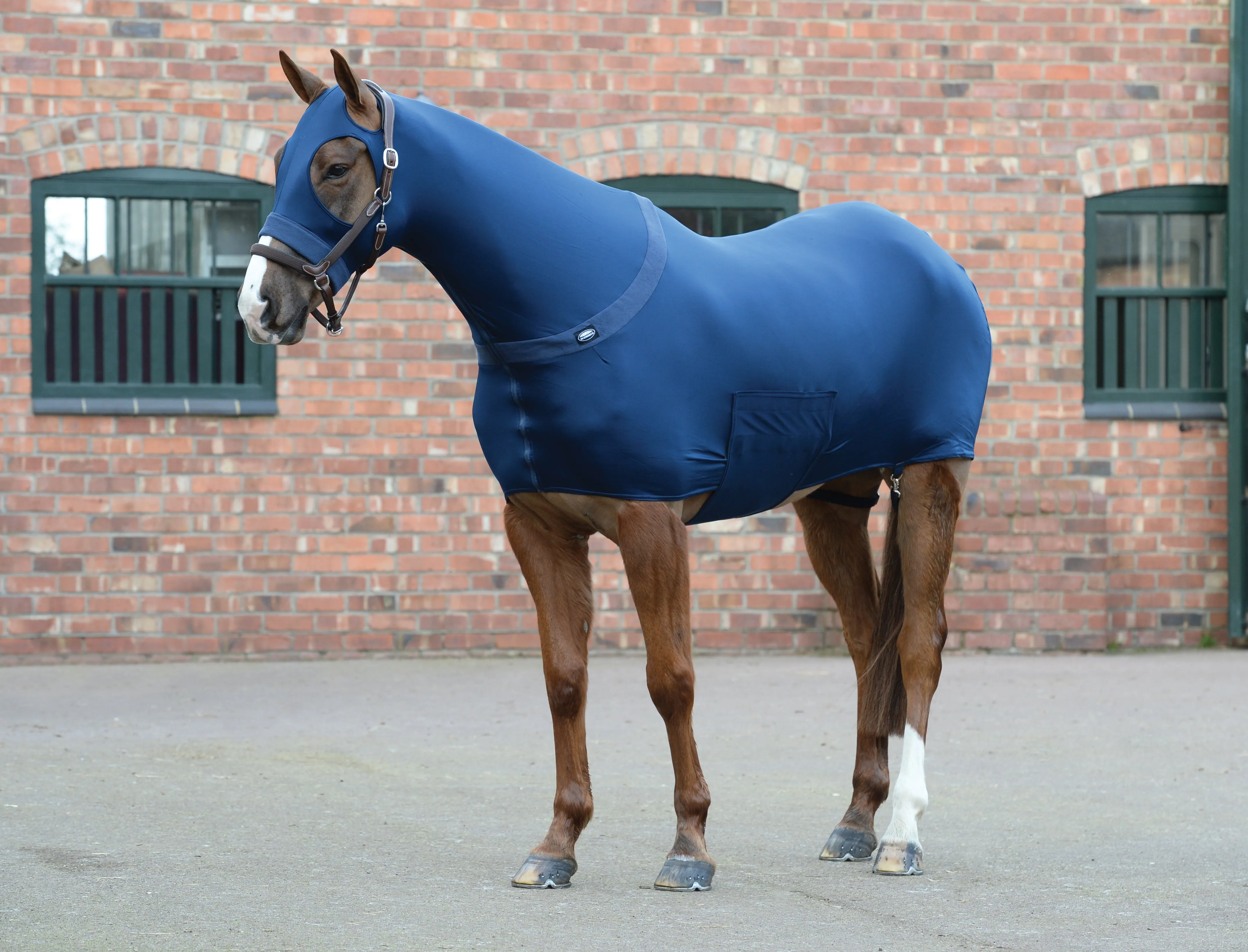 Weatherbeeta Stretch Rug - Navy